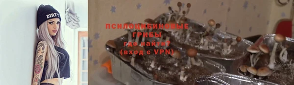 ALPHA PVP Алзамай