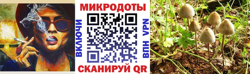 Псилоцибиновые грибы Cubensis  дарк нет Telegram  Алексин 